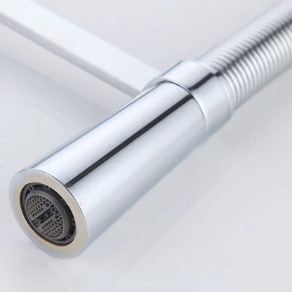 360 Degree Swivel Pull-Out Spray Kitchen Faucet-8372