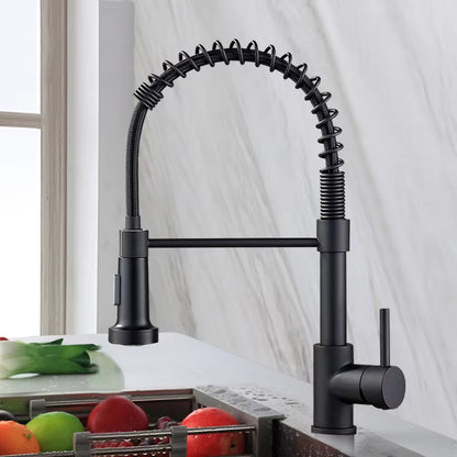 Spring-Loaded Pull-Out Sprayer Kitchen Faucet-8405