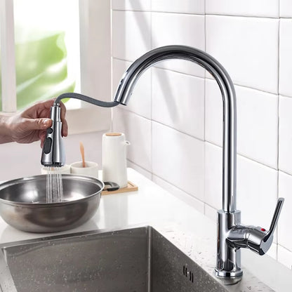 Classic Pull-Out Sprayer Sink Faucet-8600WH