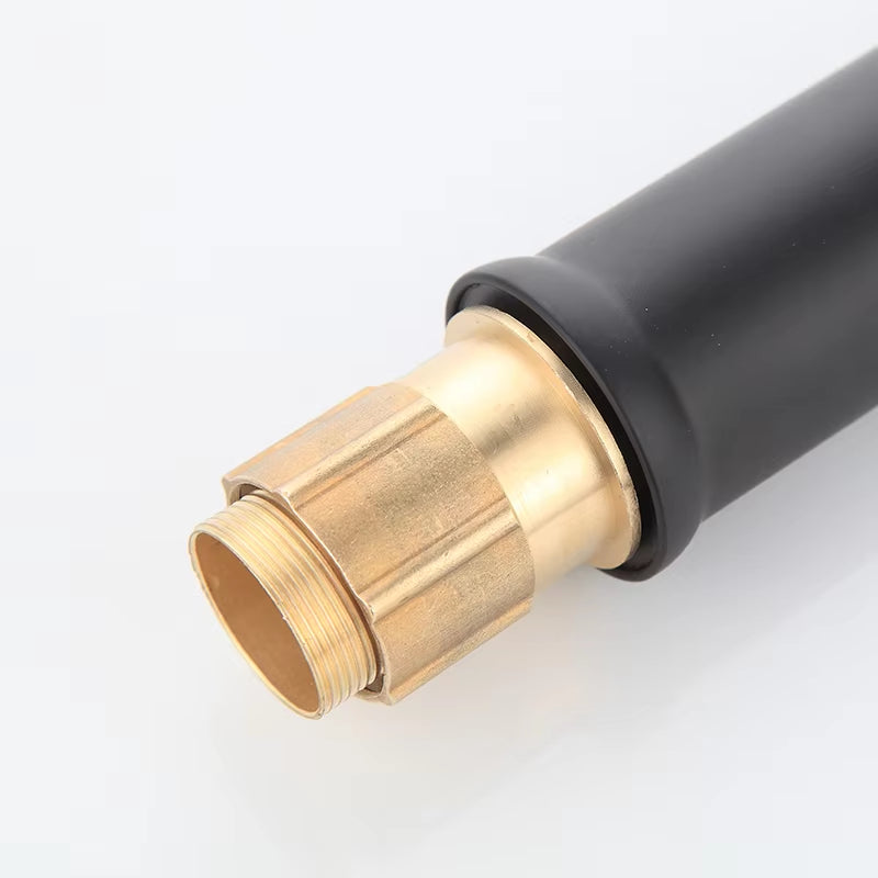European Style Bathroom Hot And Cold Hand Wash Black Gold Faucet-5001