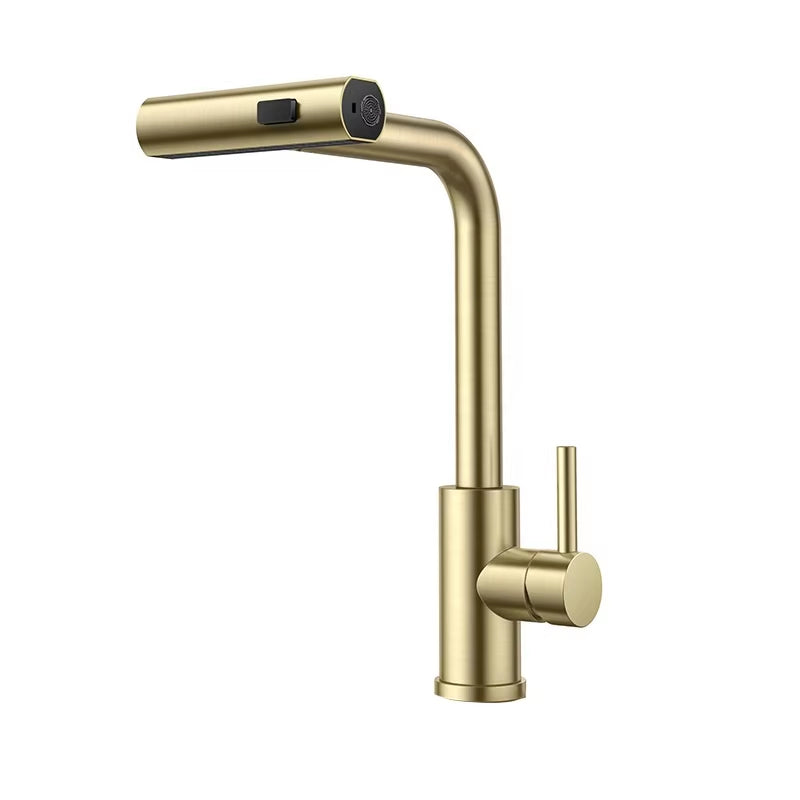 Modern Design Kitchen Sink Stainless Steel Pull Out Faucet-7305BG