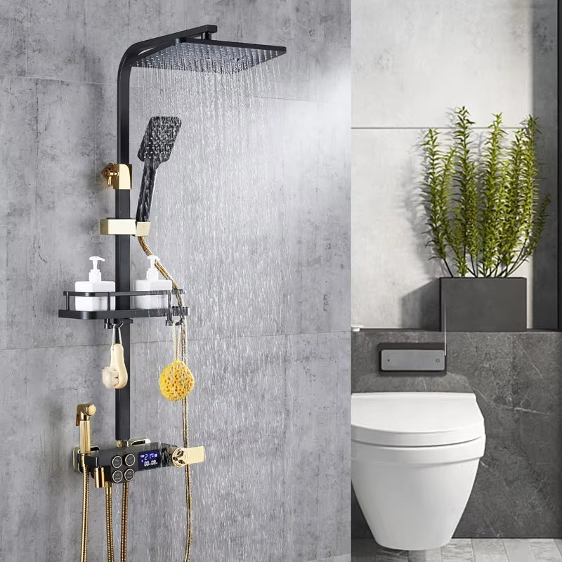 Wall Mounted Bathroom Rain Shower Head-6117BG