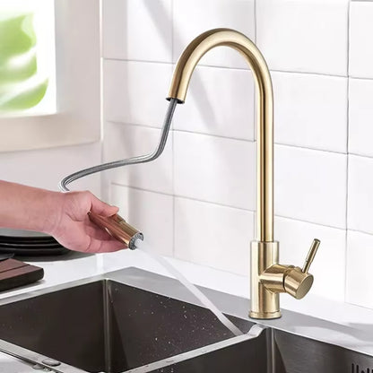 Kitchen Black And Gold Pull-Out Retractable Vegetable And Dishwashing Faucet-5394