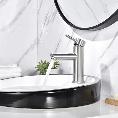 Hot And Cold Ceramic Wash Basin, Vegetable Sink, Universal 304 Stainless Steel Faucet-5304